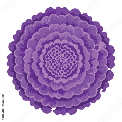 Rich Purple Flower Head Isolated Artwork