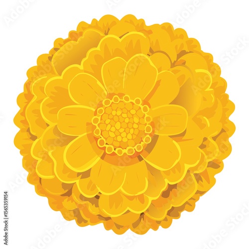 Golden Yellow Flower Head Isolated Design
