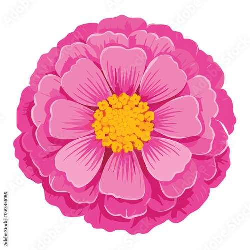 Bright Pink Flower Head Botanical Art