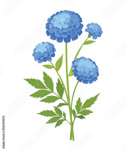Charming Blue Daisy Plant with Buds and Leaves