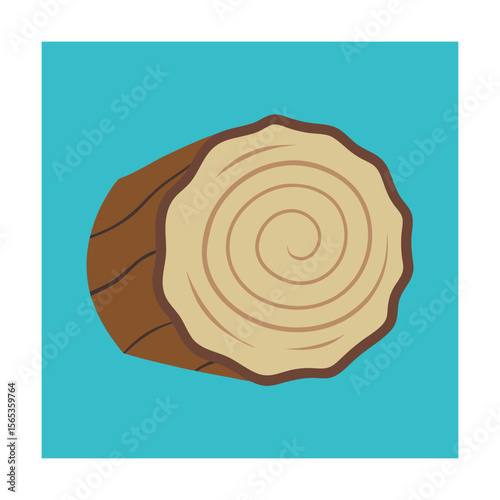 Driftwood Cross Section from Ocean Weathering
