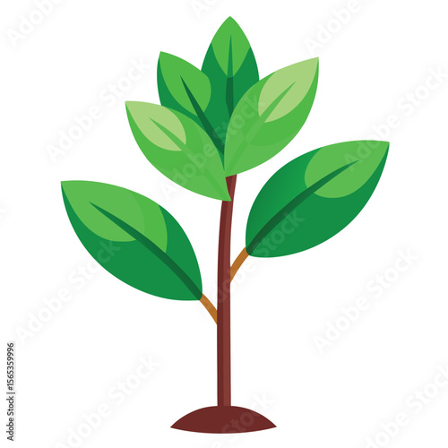 A green plant with a green leaf on it