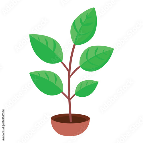 A green plant with a green leaf on it