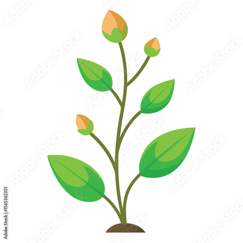 A green plant with a green leaf on it