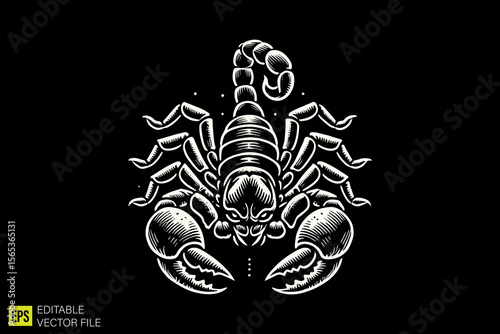 scorpion  illustration dark art scary creepy style tattoo vector black and white background templates