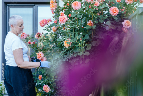 Foto Elderly woman caring for roses during cancer recovery