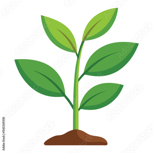 A green plant with a green leaf on it