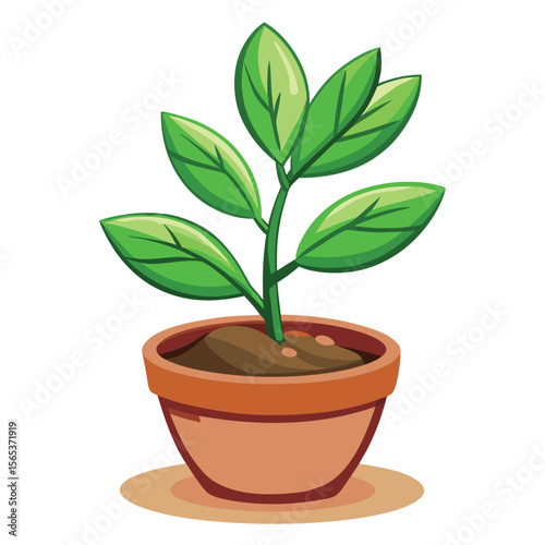 A green plant with a green leaf on it