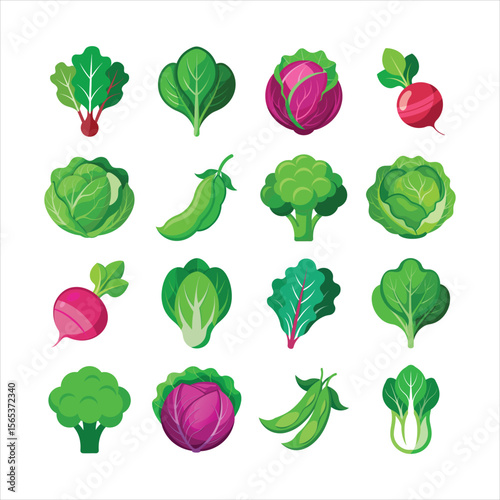 Vegetable Icons Beans, Cabbage, Bok Choy, Spinach, Swiss Chard, Broccoli and more