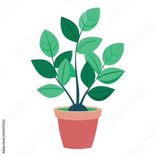 A green plant with a green leaf on it