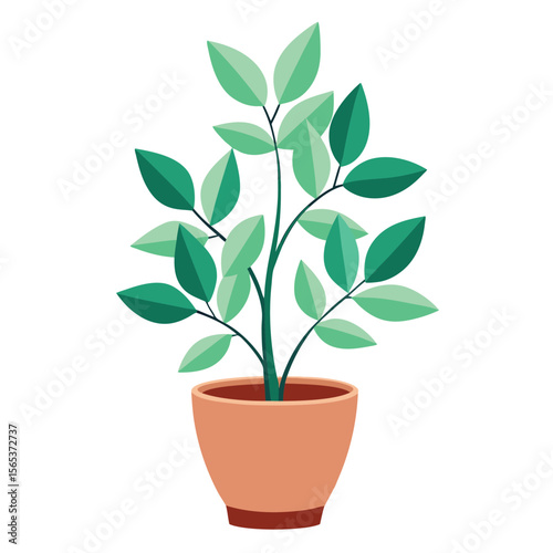 A green plant with a green leaf on it