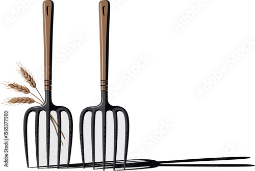 Two garden forks with brown handles and black heads and wheat on a white background casting shadows