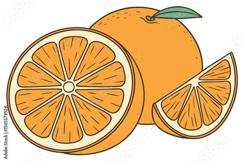 Vibrant Oranges Big Vector Collection of Fresh Citrus Fruits