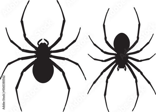 Spider arachnid shape silhouette vector illustration