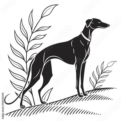 Elegant Greyhound Silhouette Illustration