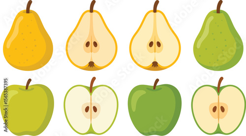 Illustration of yellow and green pears and apples whole and sliced on a white background image design
