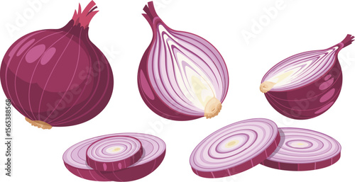 Illustration of whole half and sliced red onions on a white background with detailed textures and colors