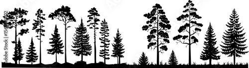 Silhouetted pine trees standing tall against the sky, showcasing the beauty of the forest. The image presents a minimalist aesthetic of trees in a row.