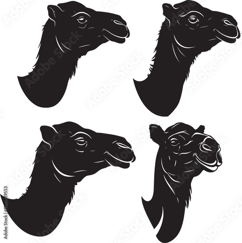Camel head animal profile vector illustration