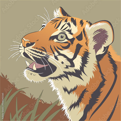 Close up portrait of a fierce tiger roaring in the wild