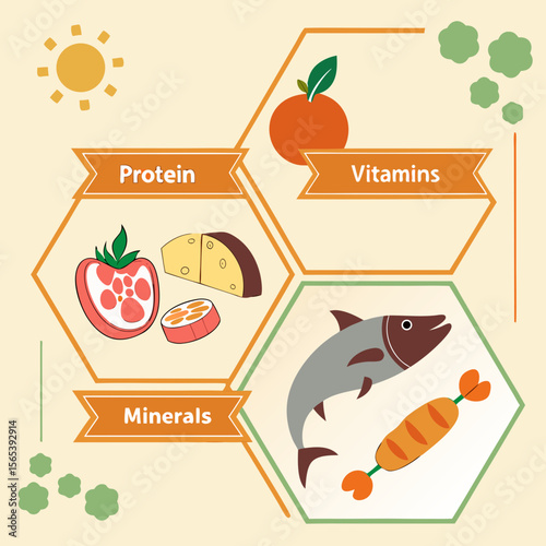 Healthy food categories showing protein vitamins and minerals
