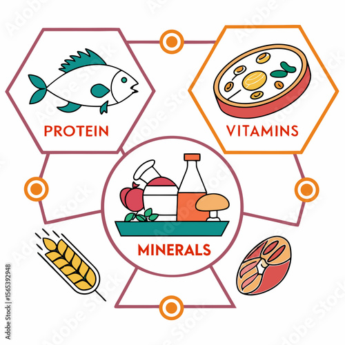 Essential nutrients protein vitamins and minerals in food sources