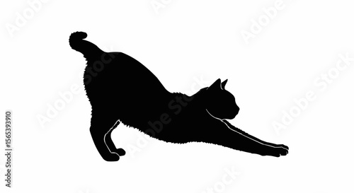 Cat Stretching Vector – Silhouette of Domestic Cat in Relaxed Pose for Pet, Animal Behavior, and Feline Art Concepts