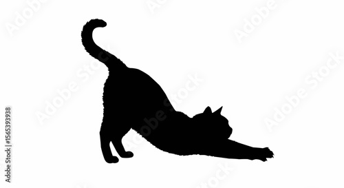 Cat Stretching Vector – Silhouette of Domestic Cat in Relaxed Pose for Pet, Animal Behavior, and Feline Art Concepts