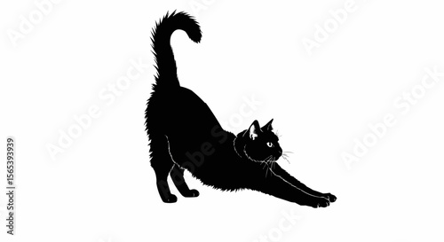 Cat Stretching Vector – Silhouette of Domestic Cat in Relaxed Pose for Pet, Animal Behavior, and Feline Art Concepts