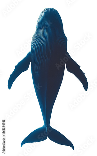 Isolated humpback whale silhouette on transparent background. Wildlife icon for ocean protection and creative design