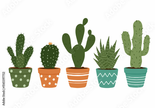 Collection of five potted cacti and succulents in decorative pots on a white background