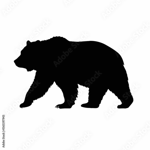 Silhouette of a walking grizzly bear on a white background