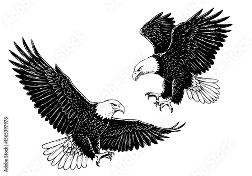 Two majestic bald eagles in flight with wings spread wide on white background