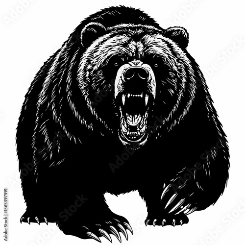 Fierce grizzly bear roaring with open mouth and sharp claws