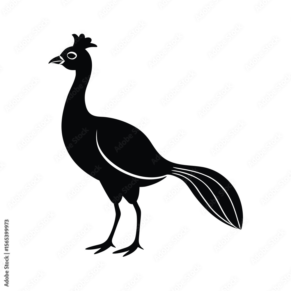 Fototapeta premium peacock vector illustration