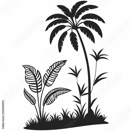 palm tree silhouettes