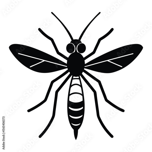 vector line art of mosquito on white background.