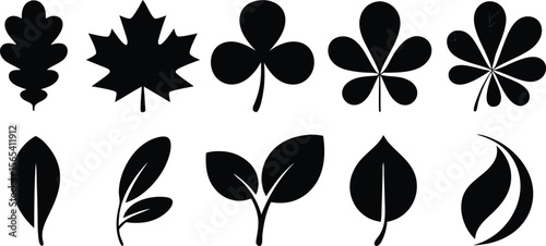 Collection of Black and White Leaf Silhouettes Oak, Maple, Clover, and Various Unique Leaf Shapes