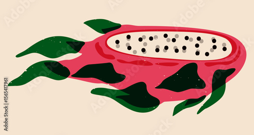 Dragon fruit cut in half. Exotic tropical pitaya fruit, fresh ripe pink pitahaya with green leaves and thorns, healthy organic food risograph style. Vector cartoon illustration