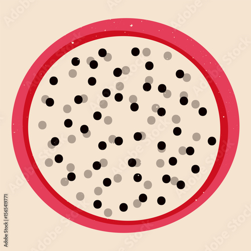 Dragon fruit round slice. Exotic pitaya fruit, fresh tropical pink ripe pitahaya with seeds, healthy organic food risograph style. Vector cartoon illustration