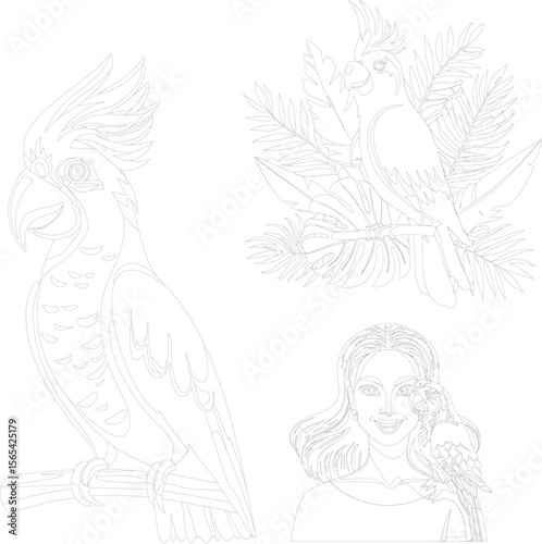Macaw with nature and human line art