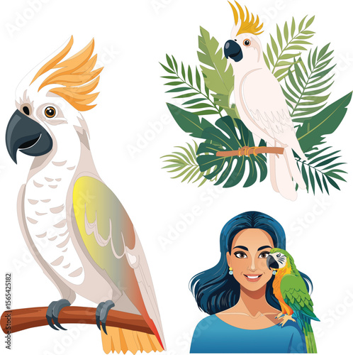 Macaw with nature and human