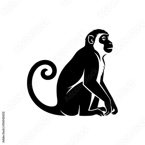 Black and White Silhouette of a Seated Monkey with a Curly Tail