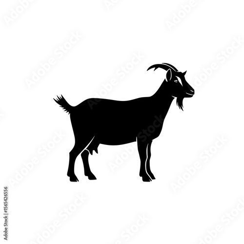 A striking silhouette of a domestic goat standing proudly showcasing its majestic horns and a long beard