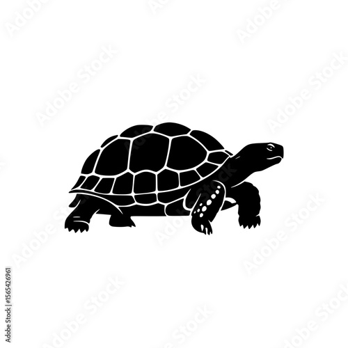 A Black Silhouette of a Tortoise Walking on a White Background