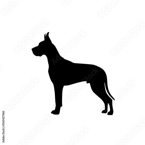 Majestic Great Dane Dog Silhouette Standing Proudly Side View Animal