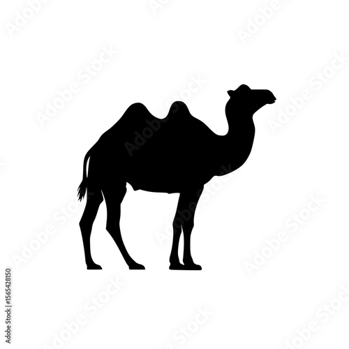 Black Silhouette of a Camel with Two Humps Standing on a White Background