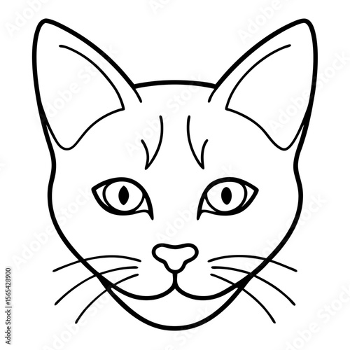 vector illustration of a cat