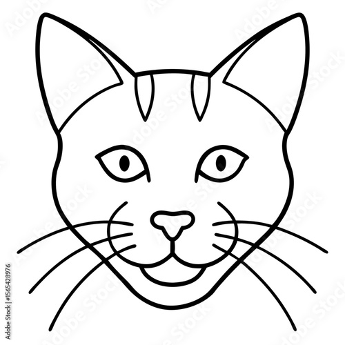 vector illustration of a cat