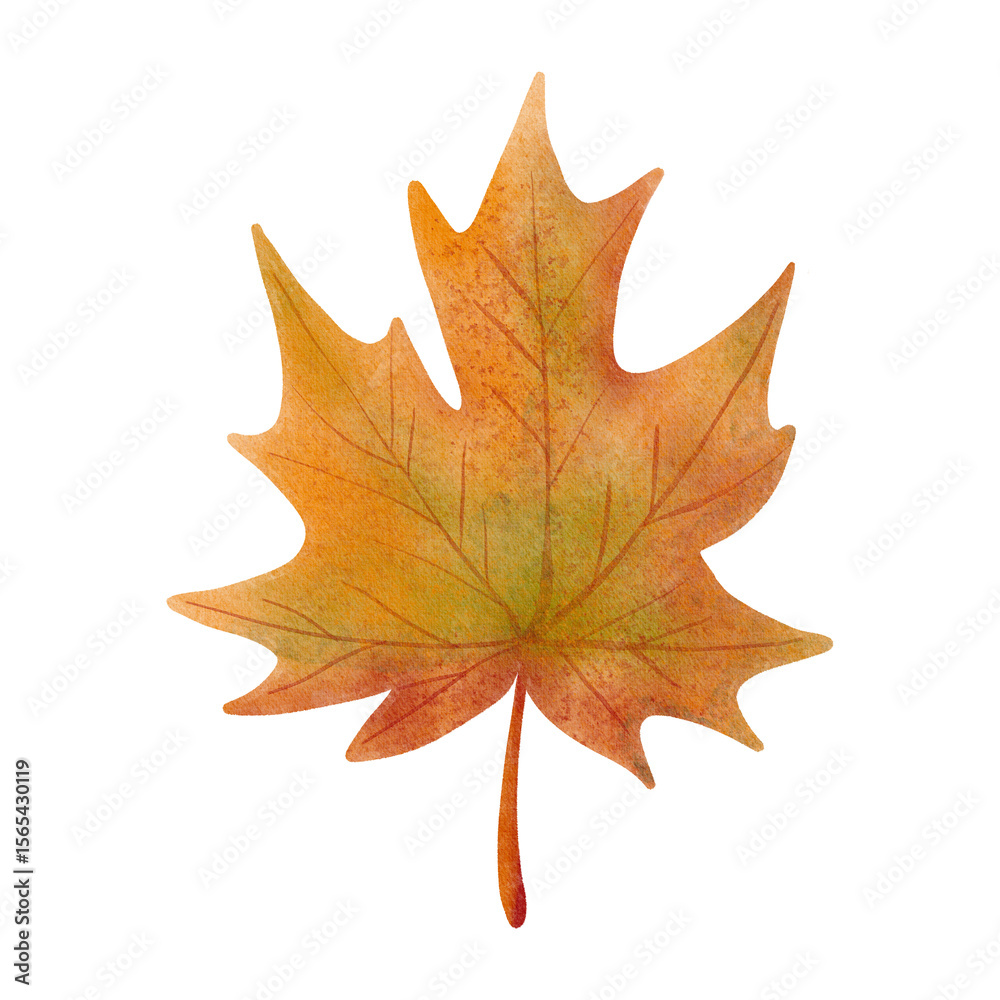 Obraz premium Maple leaf in warm autumn shades with soft details and textured edges. Watercolor style brings a cozy, seasonal feel perfect for fall decor, nature themes, prints, and invitations.